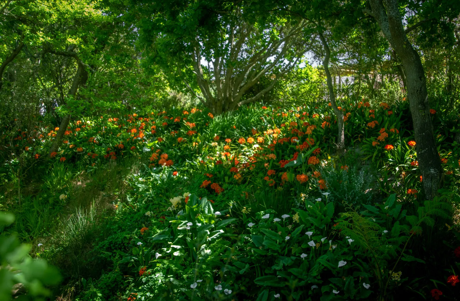 Spring Open Gardens at Waresley