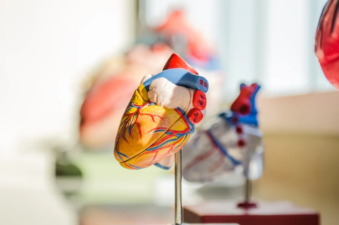 Bolton Cardiac Support Group at Egerton URC Church