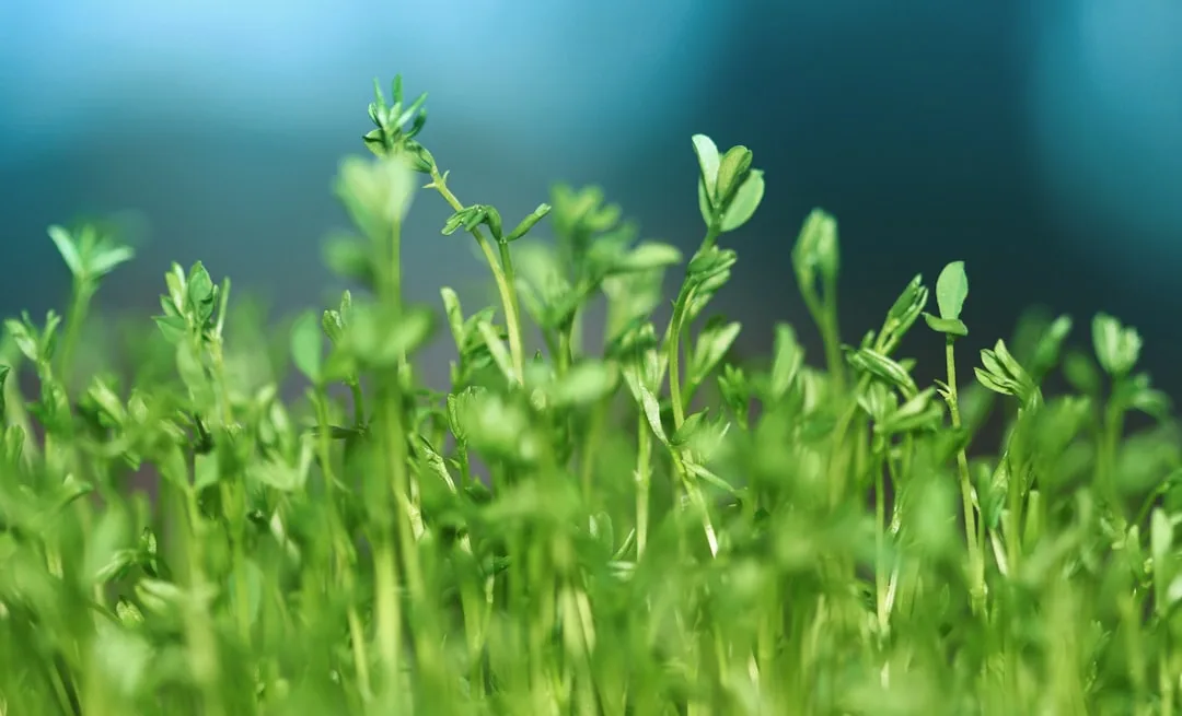 Stratos @ Grow at Grow