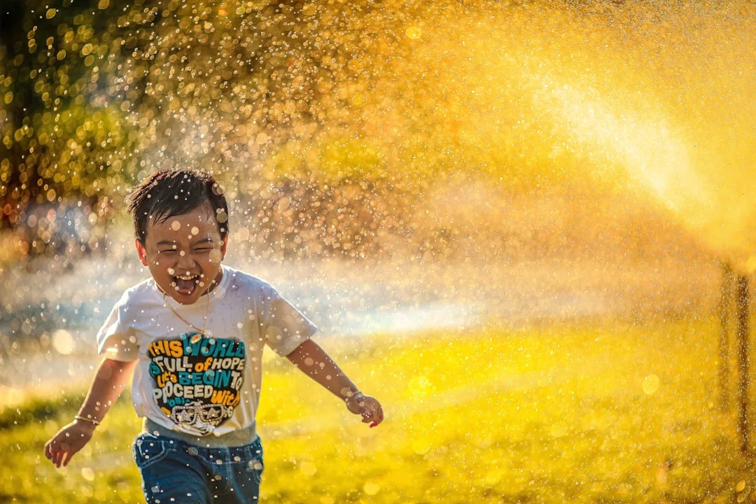 Summer of Play: Water Wonders spotter trail at Hare Hill