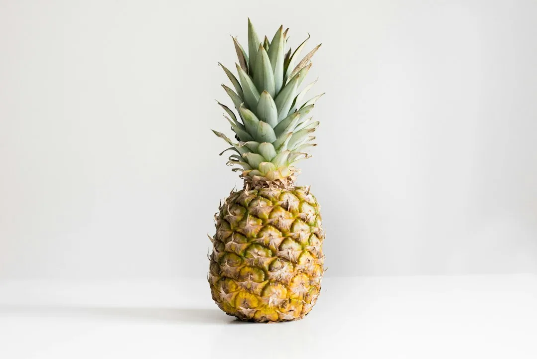 Pineapple Post with Speechly the Pineapple at Dunham Massey