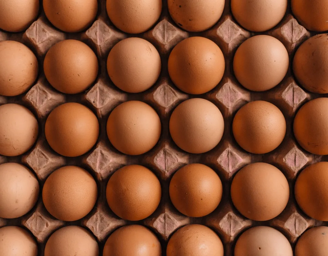 Egg LDN Pres: SUBVRS - Tech House, Deep Tech & Deep House at Egg London