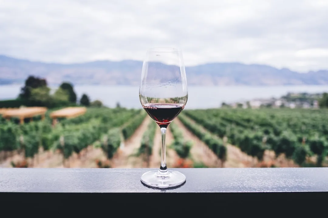 Vineyard Tour & Tasting at Skylark at Skylark