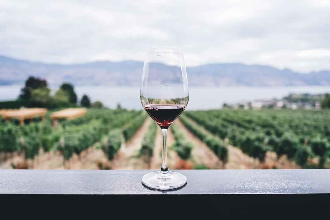 Wine Flight at Oxney Organic Estate
