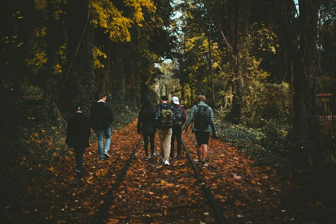 Walking Groups | Autumn Walks at Attingham Park