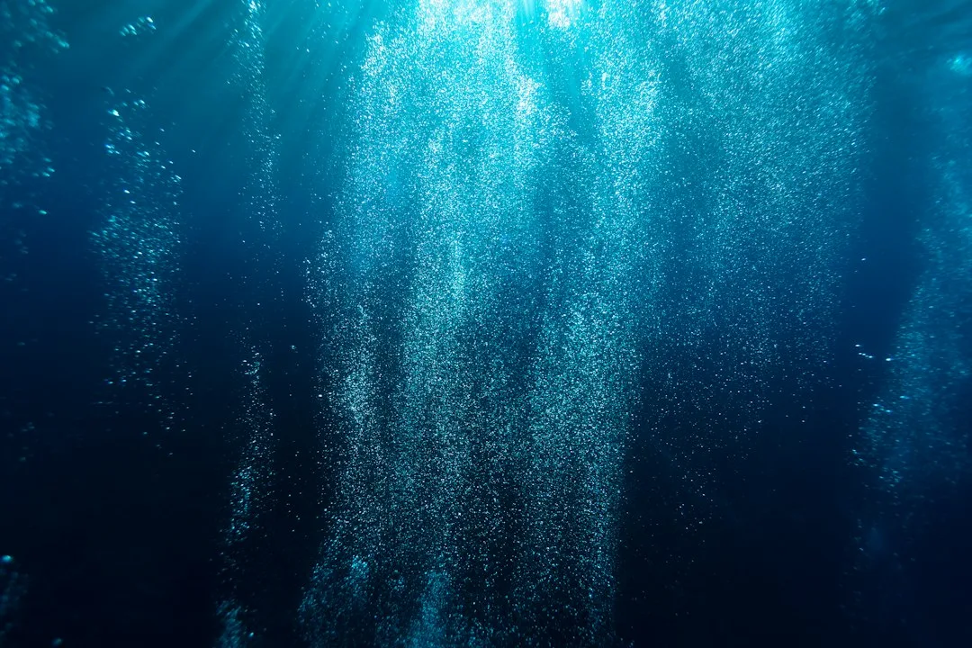 Out of the Deep at Oxford University Museum of Natural History