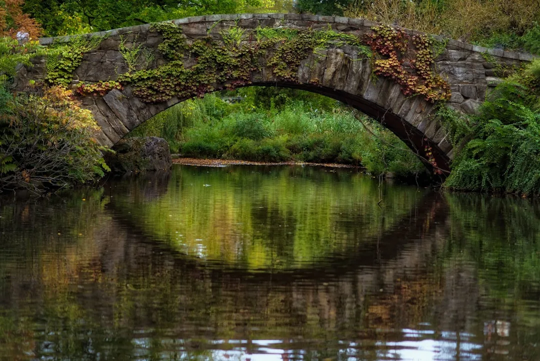 Eashing Bridges circular guided walk