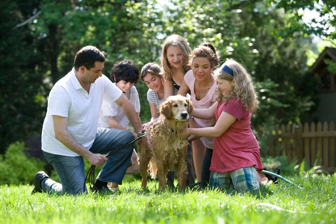 Family Photographs, 5.00 pm