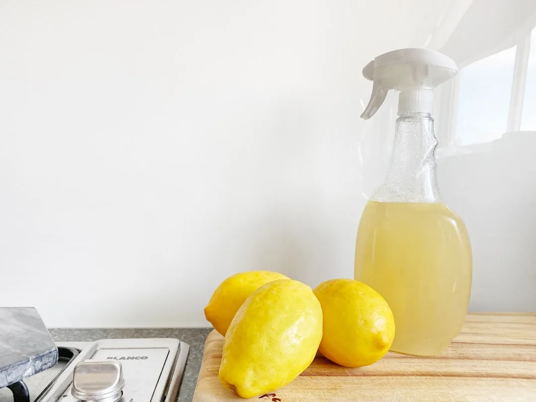 So Fresh So Clean at Queen Of Hoxton