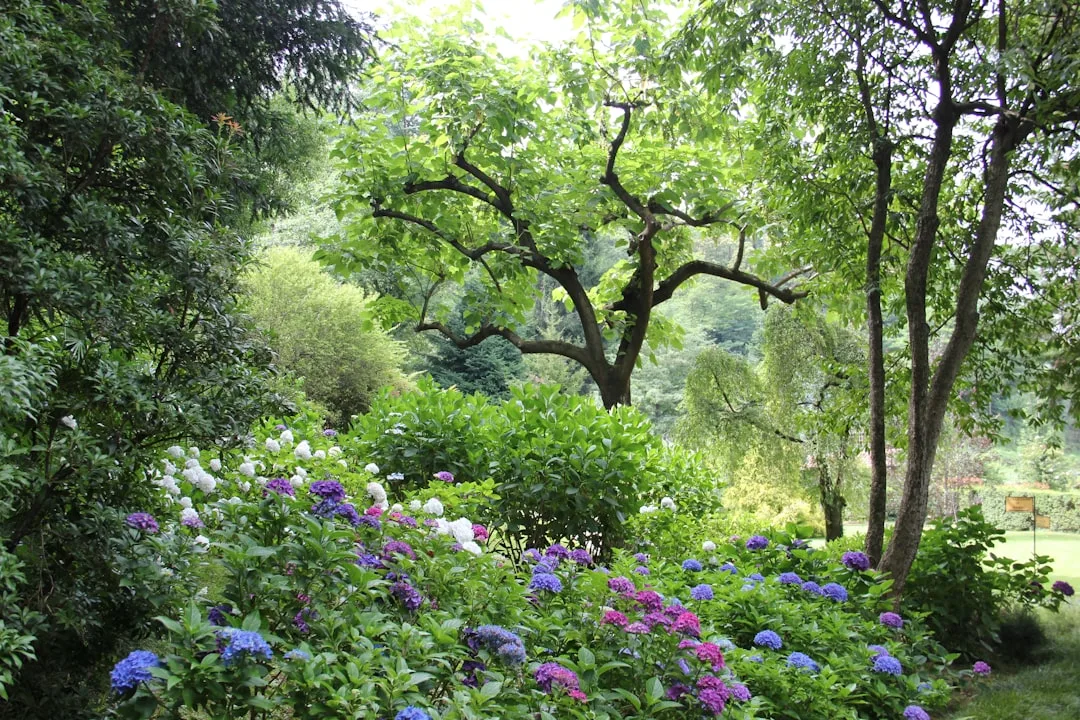 Guided garden walks at Dyrham Park