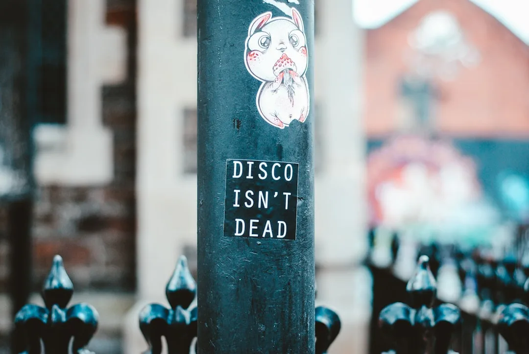 Don't F**k with Disco - Bristol - Open Air Summer Party - NO HAT… NO ENTRY at Sawmills