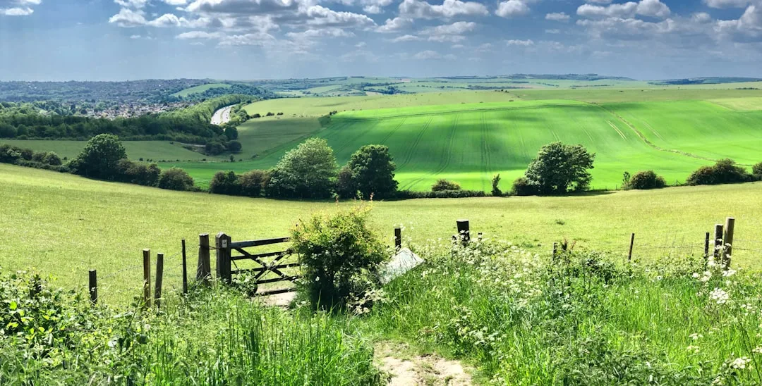South Downs and Seven Sisters Full Day Experience from Brighton at Leonardo Hotel Brighton - Formerly Jurys Inn