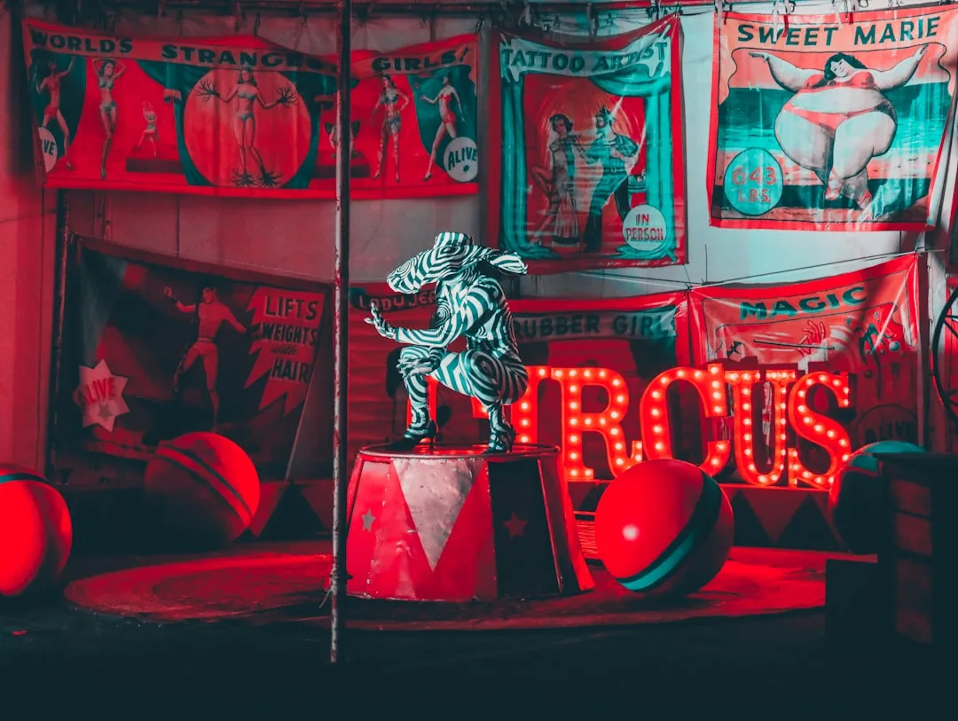 Circus for All – Because you’re never too old to join the Circus! at Clumber Park