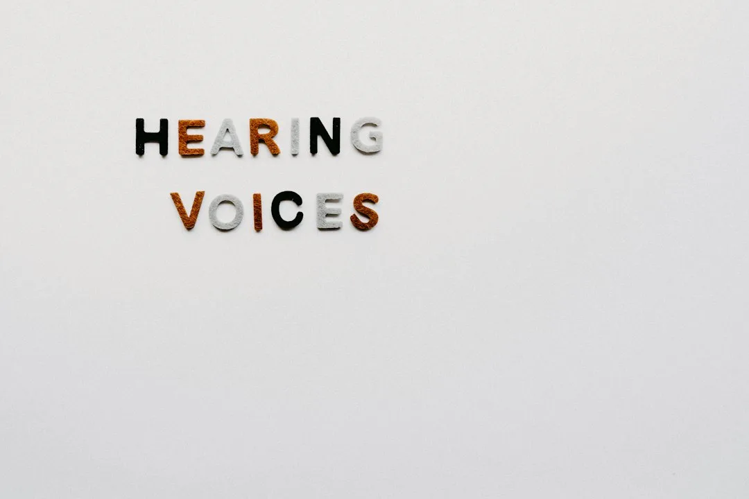 Other Voices Derry