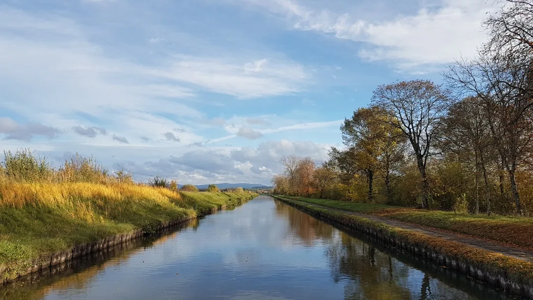 From Canals and Victorians to Today’s City: Birmingham Walking Tour at Library of Birmingham