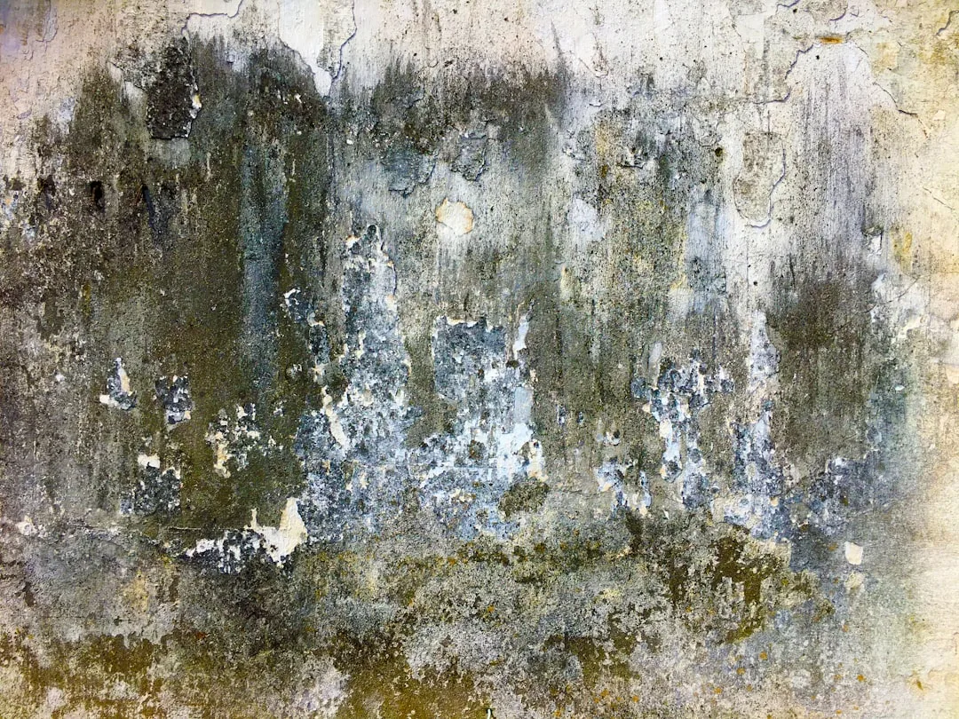 Patina