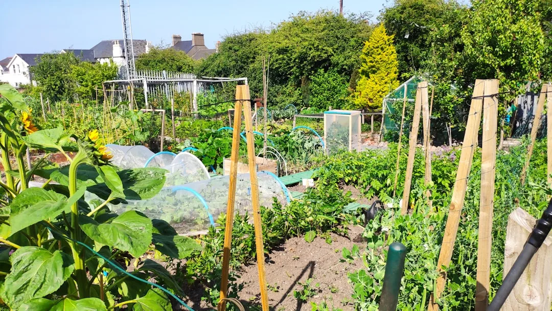 Community Gardening Group