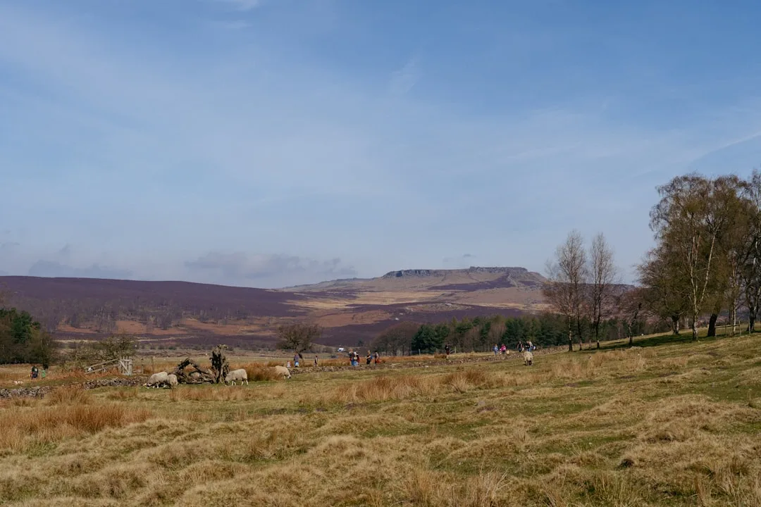 Summer of Play at Longshaw at Longshaw, Burbage and the Eastern Moors