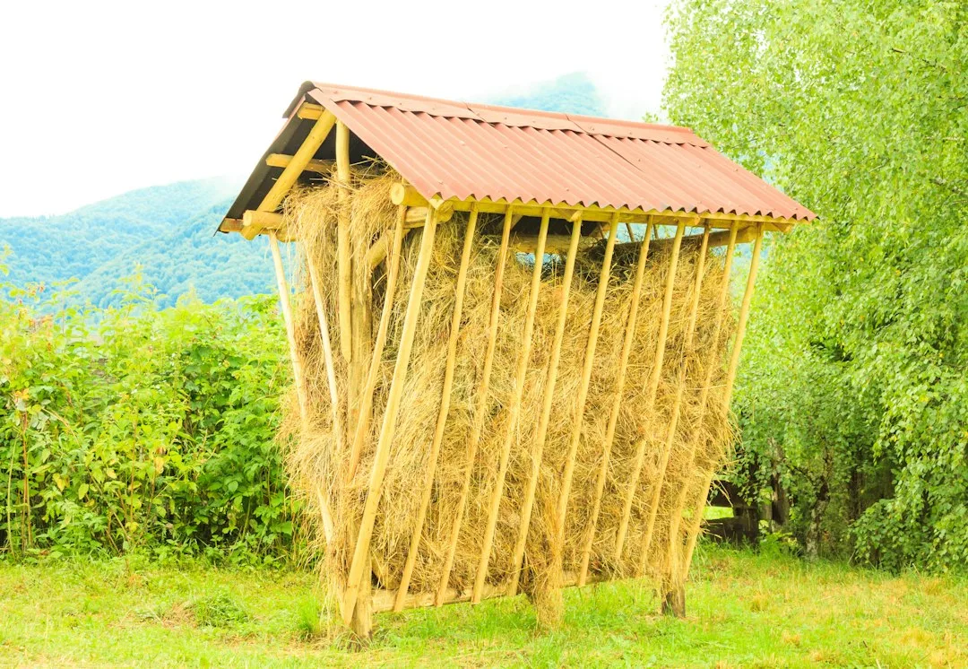 Mr Straw's House: Revealed at Mr Straw's House