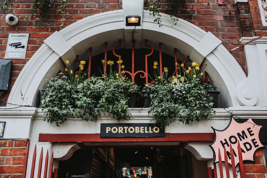 Portobello – Door-knocking at The Pavilion Café