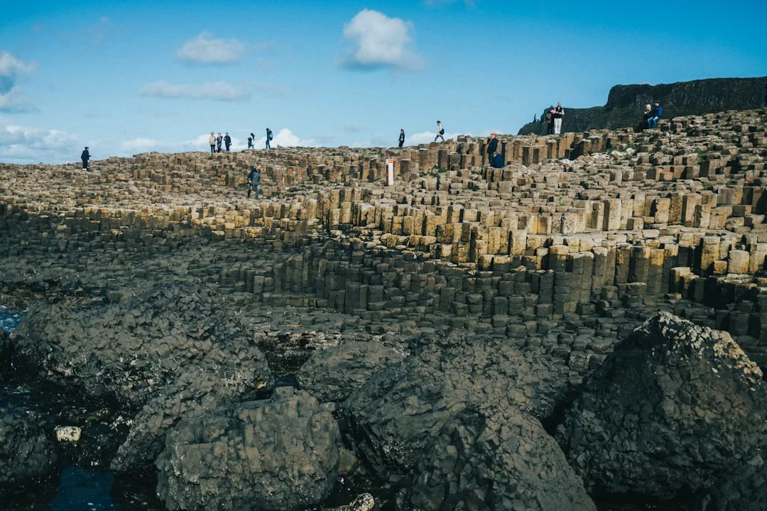 Belfast - Giants Causeway , Dunluce Castle and Dark Hedges at 31 Chichester St