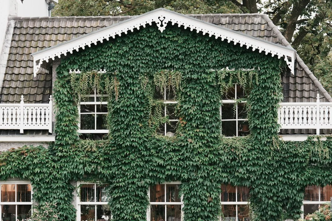 Preen @ The Ivy House - Nunhead