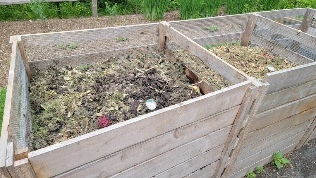 Composting Co-Design Workshops at The Children's Allotment