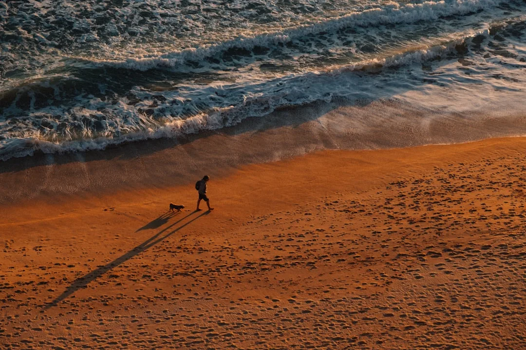 Sunset Walks at Belton Estate