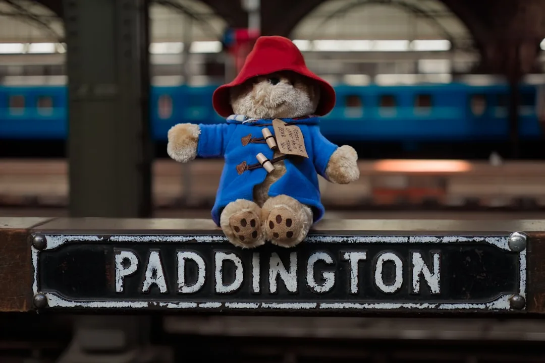 Paddington Walking Tour