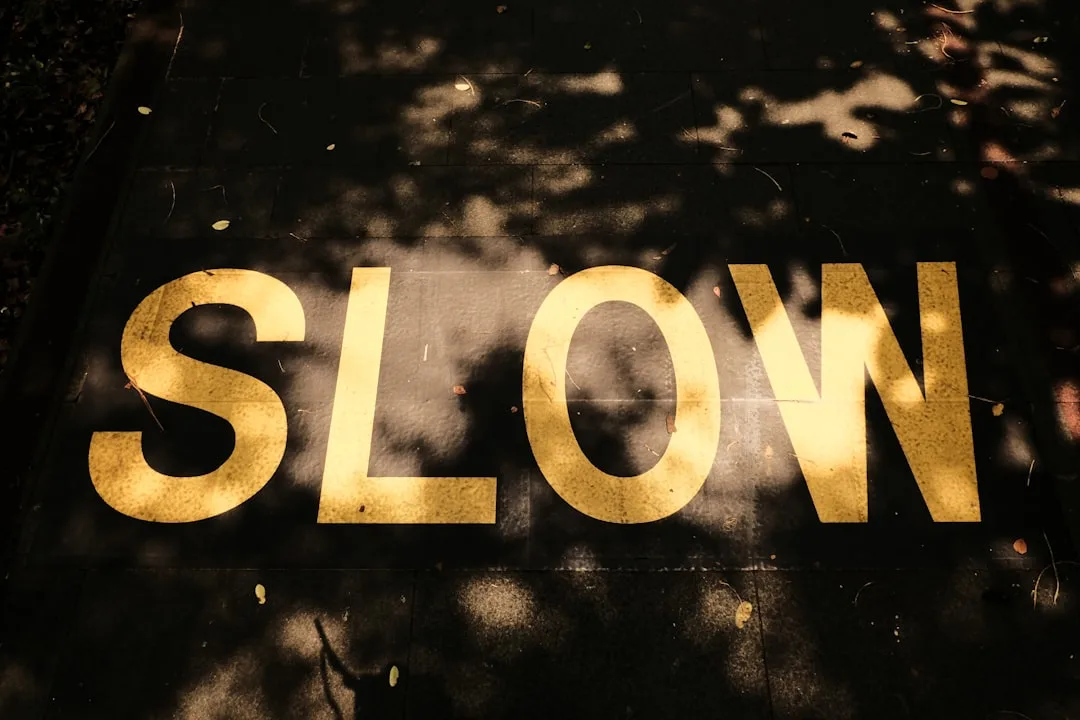 RnB & Slow Jams In The Park 🌳 2026 SIGN UP! at London