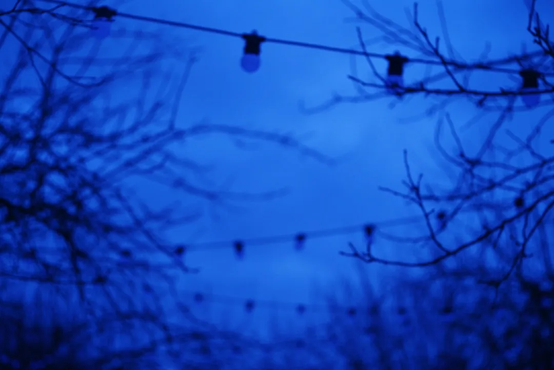 Element: Garden Party at Colour Factory