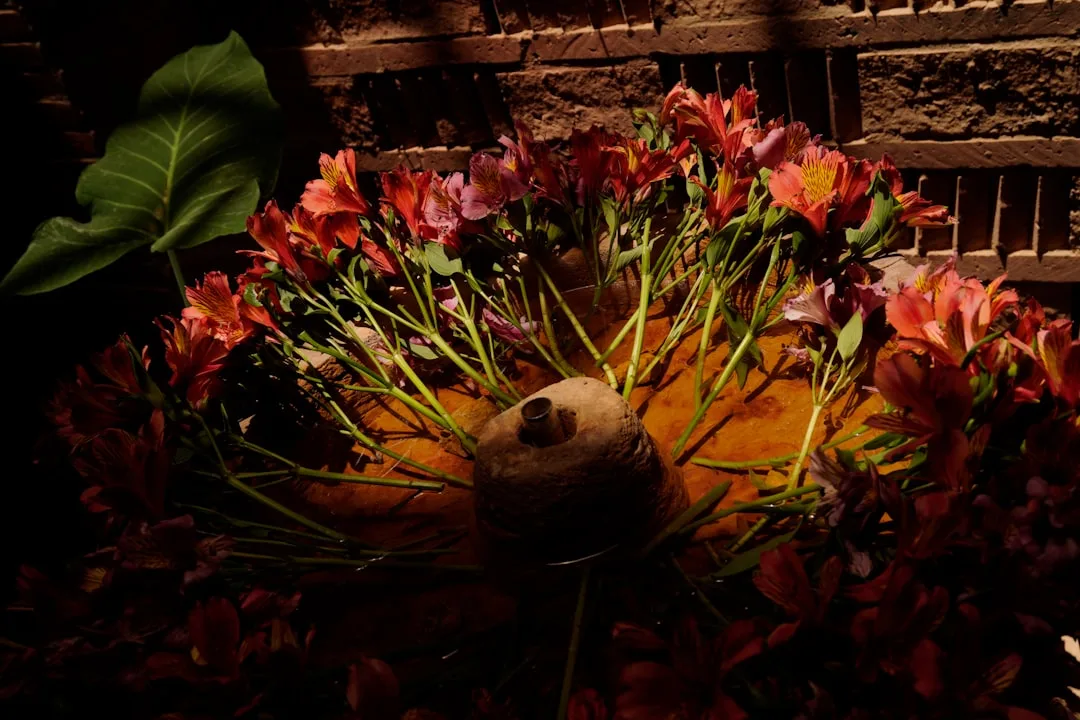 Autumn Garden Celebration at Hinton Ampner
