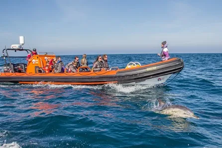 2 Hour Sealife Safari Boat Trip for Two Adults and Two Children at Padstow