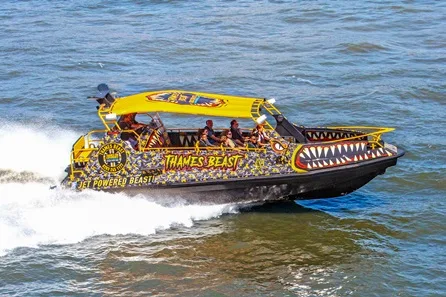 Thames RIB Tower Beast High Speed Ride