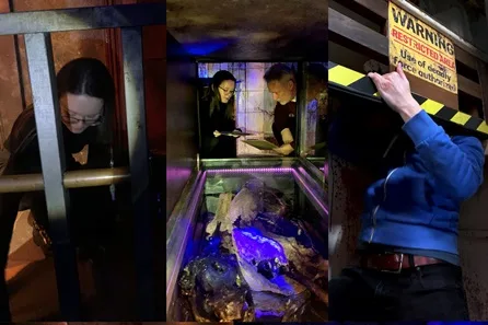 The Shallows Basement Escape Room and Visit to Mary Shelley’s House of Frankenstein for Two at Bath