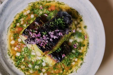 Three Course Lunch or Dinner with Wine for Two at May Fair Kitchen at May Fair Kitchen, Mayfair