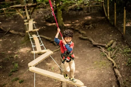 Treetop Junior Mini Trek at Zip World Manchester
