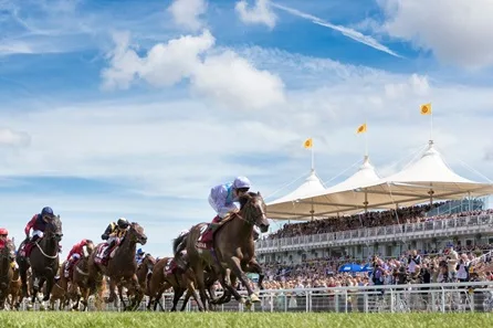 Ultimate One Night Horse Racing Break with Enclosure Tickets and Preview for Two — York at York
