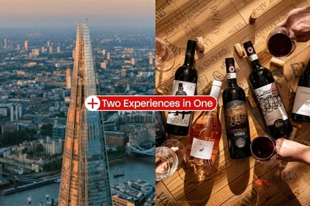 Visit to The View from The Shard and Davy’s Wine School Tasting for Two at London Bridge
