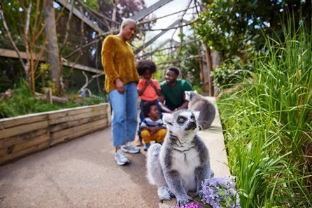 Visit to London Zoo for Two Adults and One Child