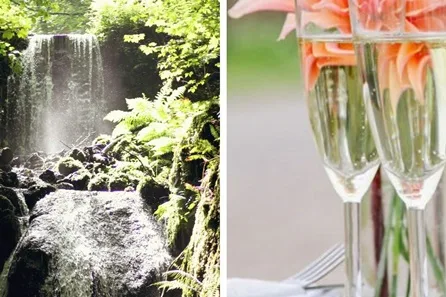 Visit to Canonteign Falls with Prosecco Cream Tea for Two