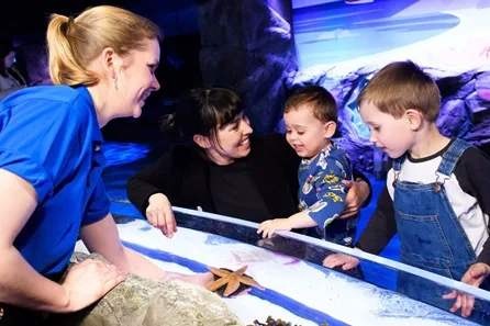 Visit to SEA LIFE London Aquarium for Two Adults and Two Children at Westminster