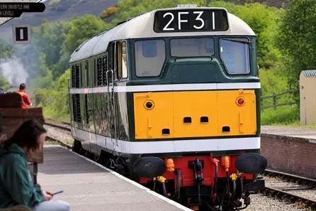 Watercress Line 30 Minute Diesel Train Driving Experience