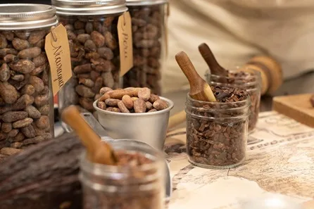 York Cocoa Works Bean to Bar Chocolate Masterclass at York