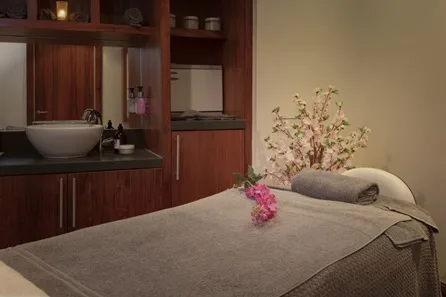 Ashford International Hotel Spa Day with 25 Minute Treatment, Lunch and Prosecco at Ashford