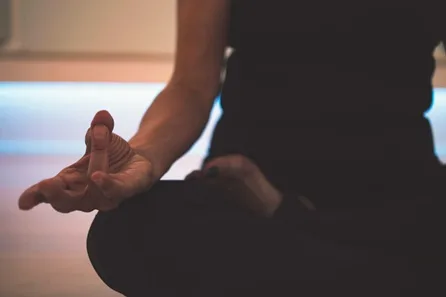 Complete Mindfulness Experience: Full Day Retreat with Lunch, Online Sessions and Journal — Southampton
