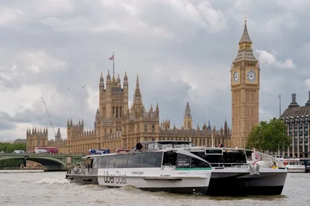 Day Pass with Uber Boat by Thames Clippers and Hop-On Hop-Off Bus Tour for Two Adults and up to Two Children
