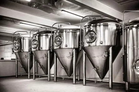 Docks Beers Brewery Tour and Tasting
