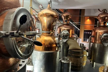 Gin Tour and Tasting for Two at Square Mile Distillery, London at Square Mile Distillery, London