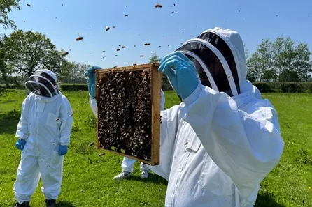 Hiver's Beekeeping Taster with Honey Tasting — Brighton